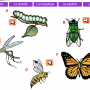 Les insectes