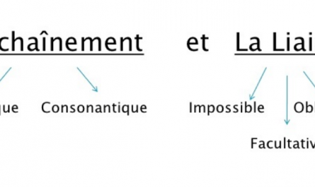 Los Verbos Franceses Los 3 Grupos Explicados Moddou Fle
