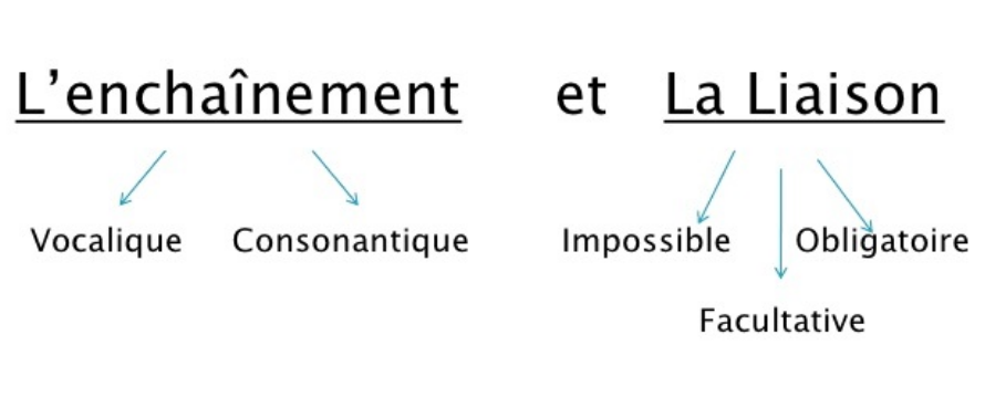 Liaisons et enchaînements. Lisez et écoutez les exemples.