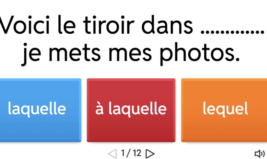 Les pronoms relatifs composés (quiz)